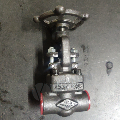 IBR Globe valve