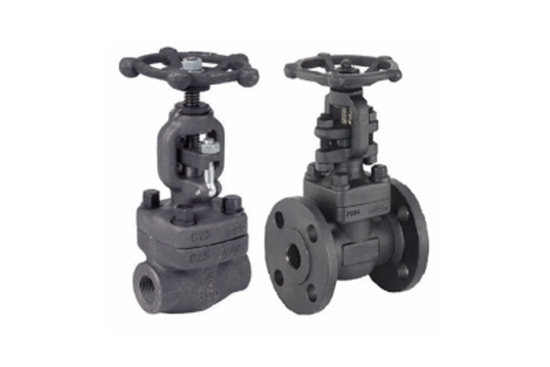 Globe Valves